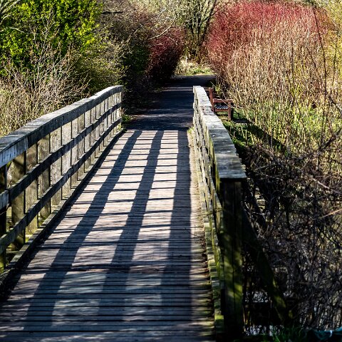Dunfermline-Townhill-Loch-1