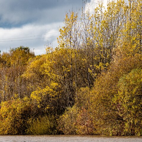 Dunfermline-Townhill-Loch-2