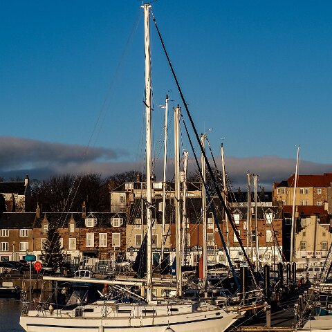Anstruther-Harbour-2