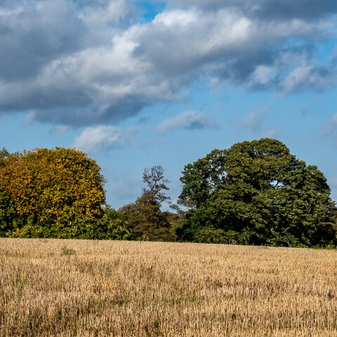 Charlestown-Broomhall-Estate-1-57