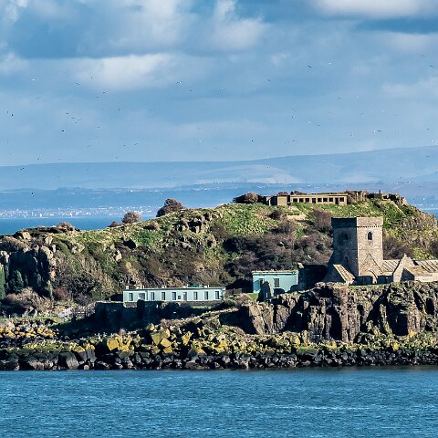 Inchcolm-Island-7