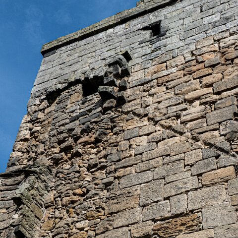 Rosyth-Castle (17)
