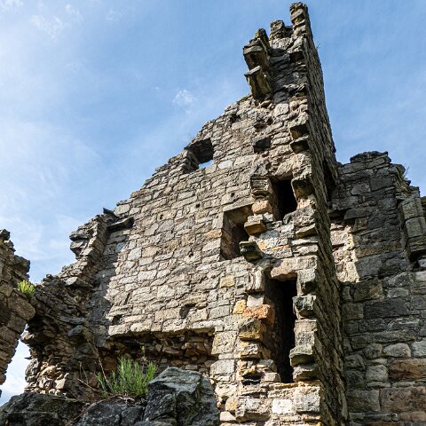 Rosyth-Castle (19)