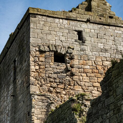 Rosyth-Castle (4)