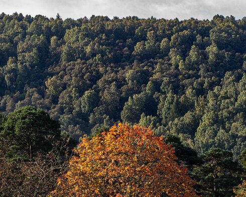 Blair-Atholl-2a