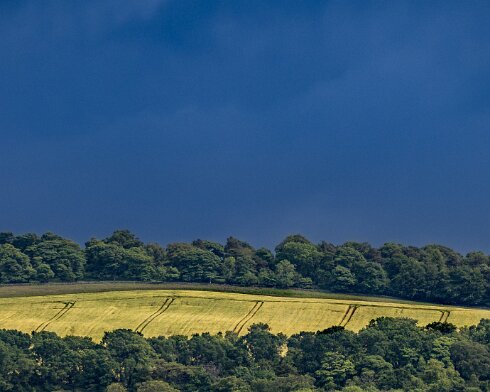 South-Queensferry-112