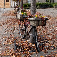 Bo'ness Borrowstounness, commonly known as Bo'ness, is a town and former burgh and seaport on the south bank of the Firth of...