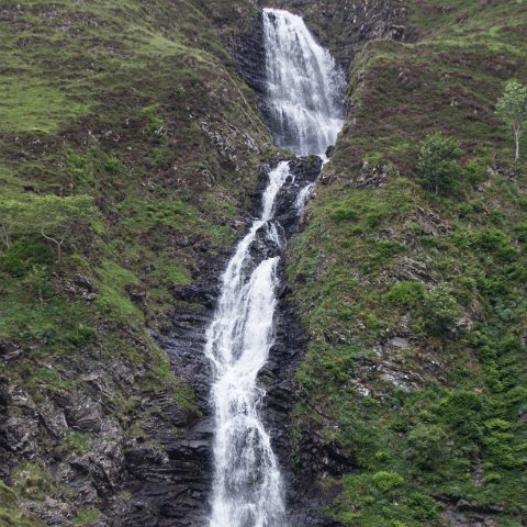 Grey-Mares-Tail-0