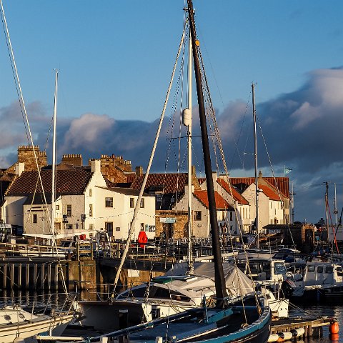 Anstruther-Harbour-1