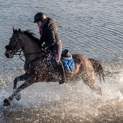Burntisland-Horse-Riding-1