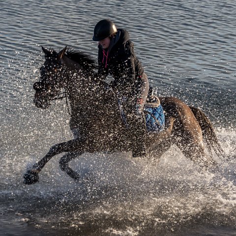 Burntisland-Horse-Riding-2