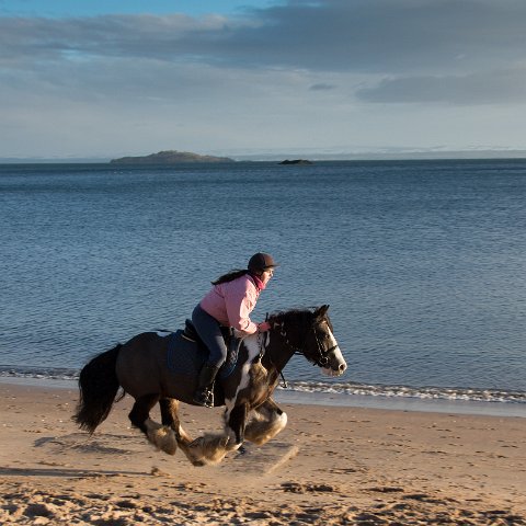Burntisland-Horse-Riding-3