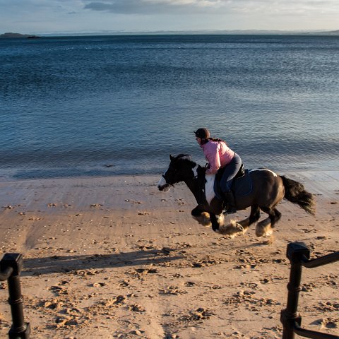 Burntisland-Horse-Riding-5