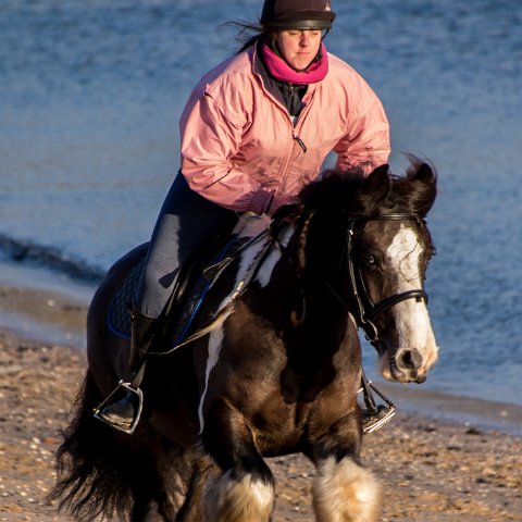 Burntisland-Horse-Riding-6