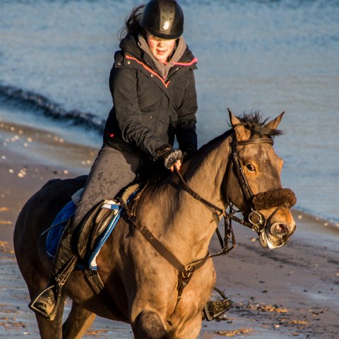 Burntisland-Horse-Riding-7
