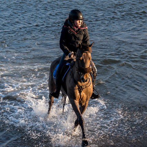 Burntisland-Horse-Riding-8