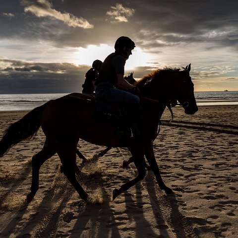 St-Andrews-Beach-Racehorse-Training-2