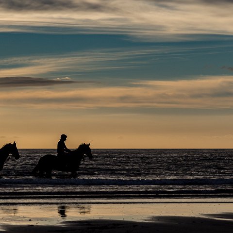 St-Andrews-Beach-Racehorse-Training-4