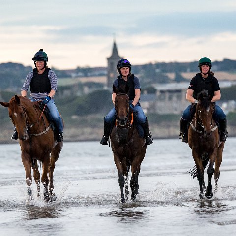 St-Andrews-Beach-Racehorse-Training-5