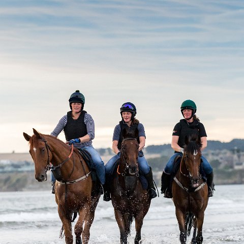 St-Andrews-Beach-Racehorse-Training-6