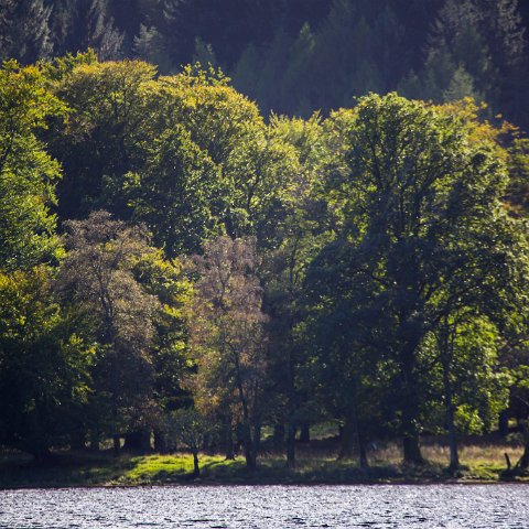 Loch-Lubnaig-1