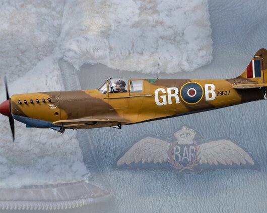 Digital-Revision-Spitfire-1