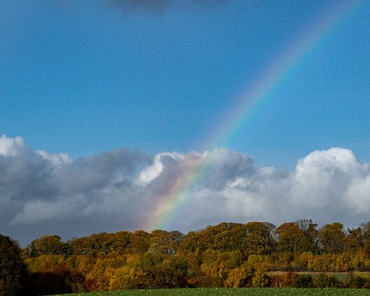 Rainbow-Charleston-Estate-2