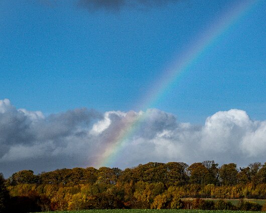 Rainbow-Charleston-Estate-3