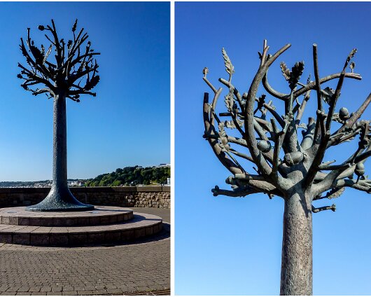 Freedom-Tree-St-Helier-2018