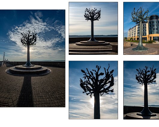 Freedom-Tree-St-Helier-2025