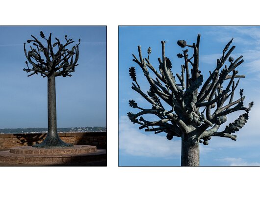 Freedom-Tree-St-Helier-2026-1