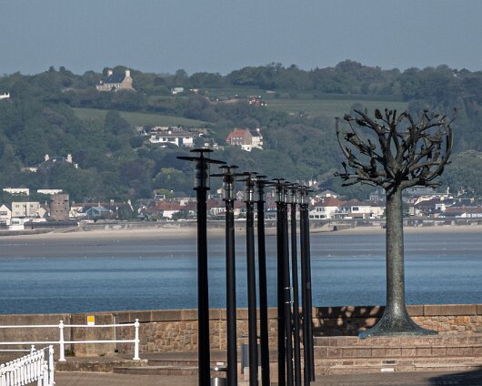 Freedom-Tree-St-Helier-2026-2