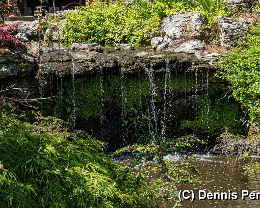 Botanical-Gardenns-2026-13