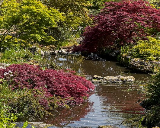 Botanical-Gardenns-2026-19