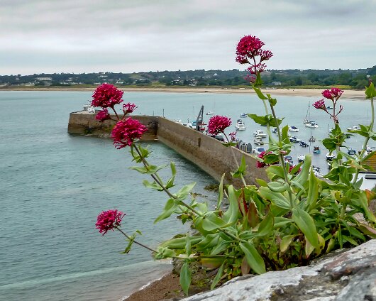 Gorey-2018-10