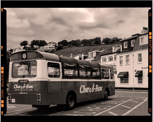 Gorey-2018-7