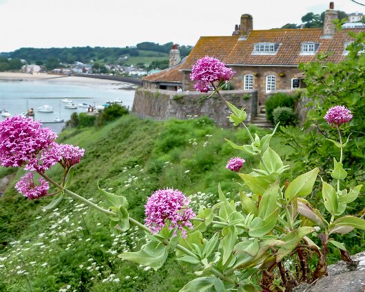 Gorey-2018-9