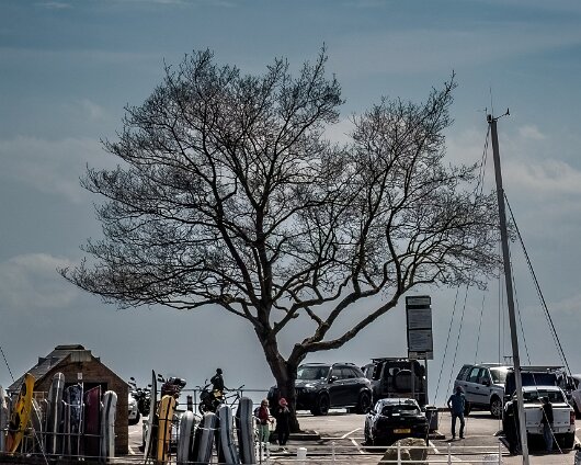 Saint-Aubin-2024-13