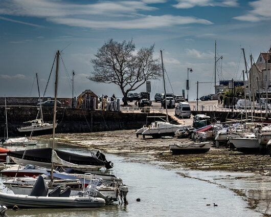 Saint-Aubin-2024-14