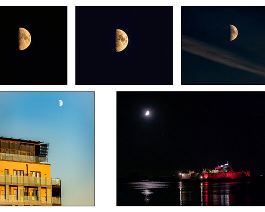 Jersey-Moon-1