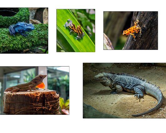 Jersey-Zoo-2023-4