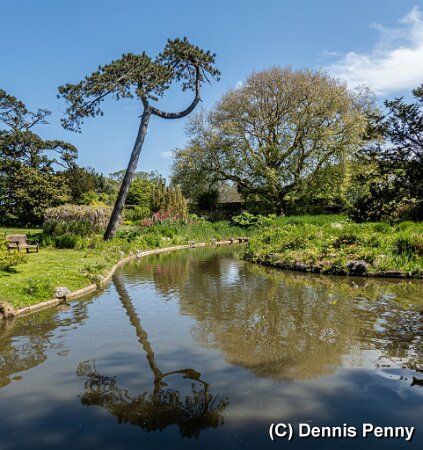 Botanical-Gardens