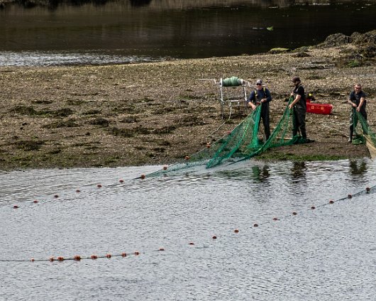 Berwick-Upon-Tweed-5