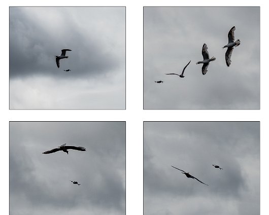 Berwick-Upon-Tweed-Drone