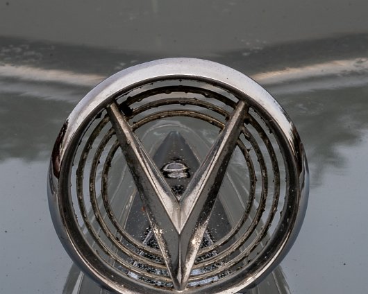 BonessSteam-Gala-2024-15