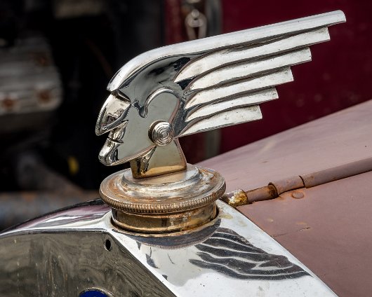 BonessSteam-Gala-2024-16