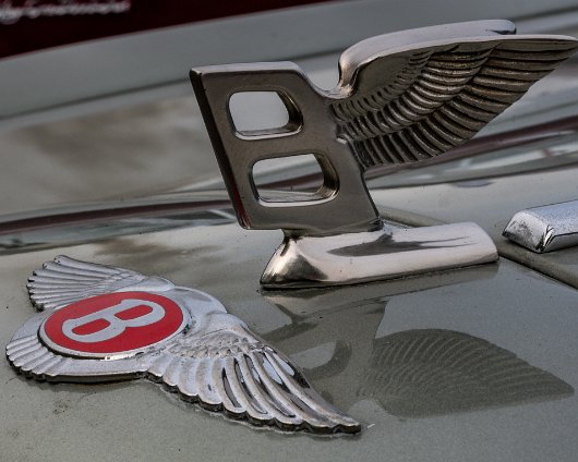 BonessSteam-Gala-2024-17