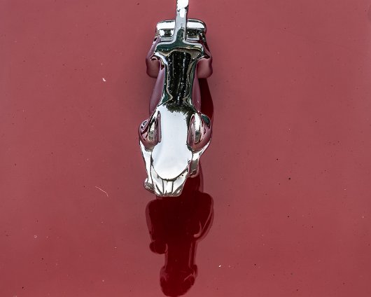 BonessSteam-Gala-2024-6