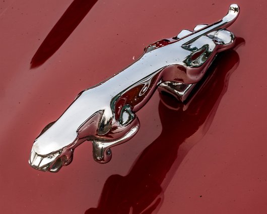 BonessSteam-Gala-2024-7