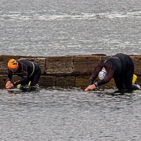 River-Forth-Wild-Swimming-13
